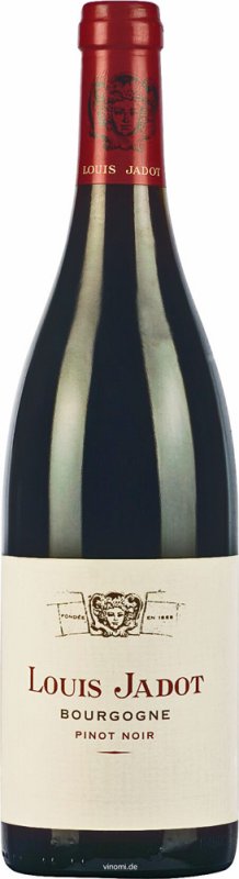 12er Set Louis Jadot Bourgogne Pinot Noir 2022 - Versandkostenfrei!