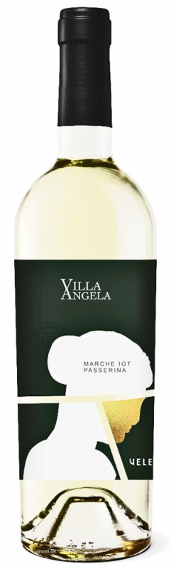 18er Set Villa Angela Marche Passerina 2022 - Versandkostenfrei!
