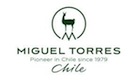 Torres Chile